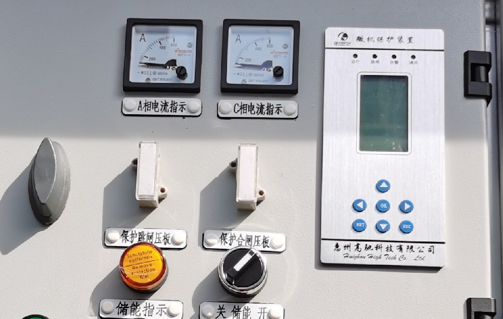 Microcomputer protection